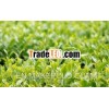 Best Selling Vietnam BT Green Tea