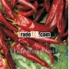Paprika Red