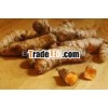 nizamabad turmeric finger