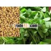 India originated fenugreek seeds