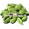 Green Cardamom