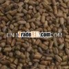 Cassia Tora Seed