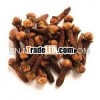 Clove