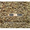 Cumin Seeds
