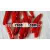spicy hot red pepper