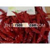 spicy red pepper from india