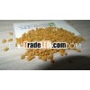 Fenugreek seeds india