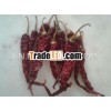 red pepper for european countries