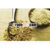 Fenugreek seeds at competitive rate