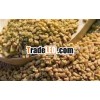 Fenugreek seeds manufacturer
