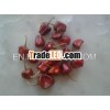 SPICY CHILIES