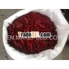 HIGH ASTHA TEJA CHILLI