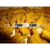 Erode Turmeric Finger