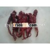 DRY RED CHILIES FOR COLOR EXTRACT