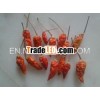 spicy chilli