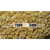 SORTEX FENUGREEK SEEDS INDIA