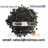 BLACK PEPPER (Skype&Yahoo: visimex06)