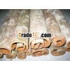 TUBE CASSIA CASSIA
