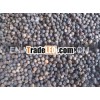 VIETNAM BLACK PEPPER HIGH QUALITY