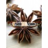 Star aniseed stemless