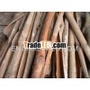 Selling chinese flower tea with cinnamon with cheapest price