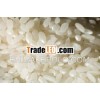 Cheapest price for buying rice with benifit