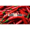 High Quality Chili Pepper From Vietnam
