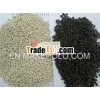 Black pepper 500G/L - Skype: visimex02