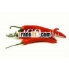 High Quality Pepper From Vietnam