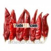 Dried Red Chili