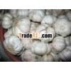 Vietnam Garlic good price (skype: visimex08)