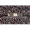 Selling black pepper high quality