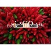 Vietnam Best Price Chili Pepper