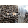 Selling Vietnam Cheap Price Pepper 02