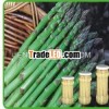 canned asparagus