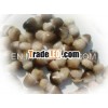 canned straw mushroom in tins