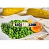 Fresh Canned green peas