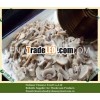 Canned Mushroom Oieces and Stems 425g Canned Food