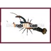 Metal Lobster Handicraft