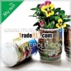 Can Flower for Home Decoration & Promotion Gift