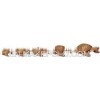 Set of Turtle - Hand Carved Painted Wooden Animals Handicraft Wooden Craft