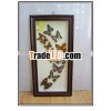 Pop Animal photo frame