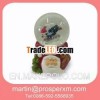 Beautiful diy ceramic christmas decorations