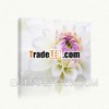 Oil Painting Pictures of Flowers in Bud