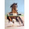 Beautiful Single Running Horse Oil Canvas Painting