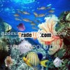 animals 3d artwork product/3d product