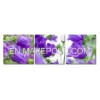 Purple flower painting VC-2023ABC