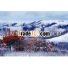 beautiful landscape pictures mural