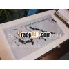 Chinese silk painting scroll of shrimps