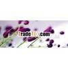 Pictures printed on canvas 38x100cm